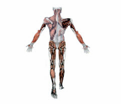 Kerstin Lindes r&ouml;relsetr&auml;ning