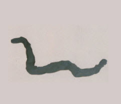 L&uuml;schers f&auml;rgtest